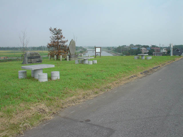 26